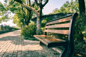 new-garden-benches